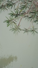 F406D0E4-EA86-4A94-9974-AEED6AC8F758/L0/001