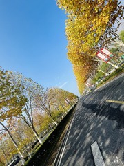 D5616D6A-A4A9-43E4-A6B0-3ED9D6670605/L0/001