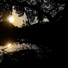 A99E47ED-73D0-4786-ABC8-7A9C8F144DD0/L0/001