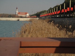 2636162