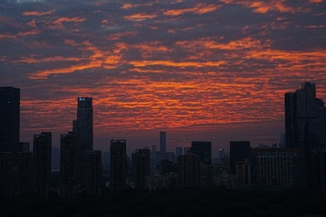 657068