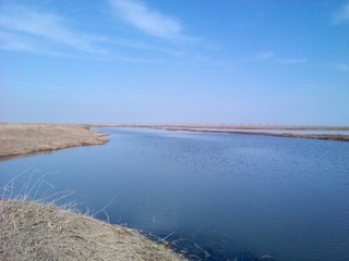 IMG_20130324_170622
