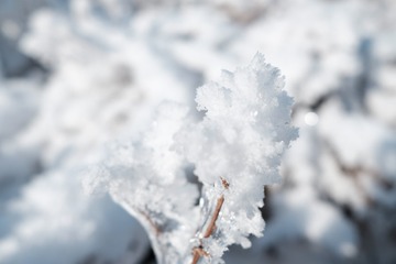 C9E88A48-0840-419F-84AB-0F618FC0BB21/L0/001