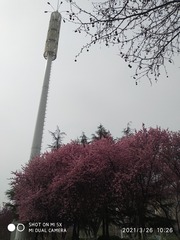 1814481