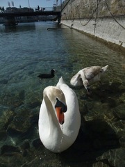 DSCF1432.JPG