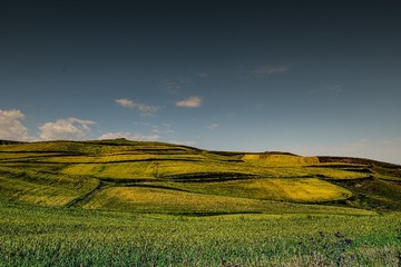 DSC_2231
