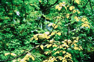 7FE87626-C8C9-4D5E-A74C-395F00030B8A/L0/001