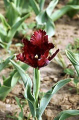 40548083-4D3E-4FEB-8976-DD688A7D9CAE/L0/001