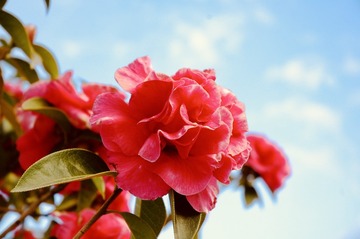 60BC8487-00D5-406C-9907-4BA34436983A/L0/001