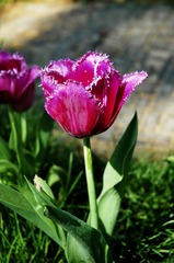 0CB7C0ED-08B8-4D86-BF88-0FB56F308021/L0/001