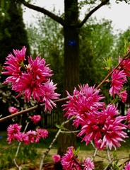 D4571E89-B043-4893-A1AC-ED9D737328B5/L0/001