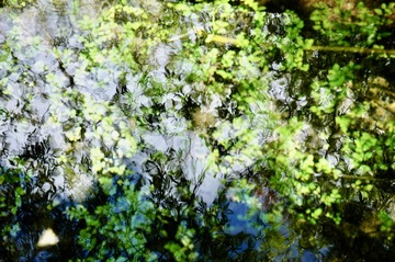 961F099C-D2F4-4663-AB98-0766EE7AFB0E/L0/001