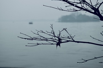 A7F6B294-C39A-403E-9CA0-6EBD892485BE/L0/001