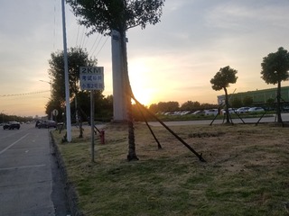 91311