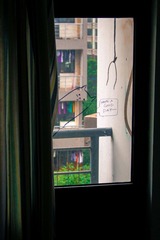 IMG_8728.jpg