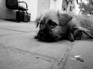 C360_2013-06-14-19-25-31-672.jpg
