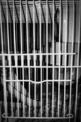 C360_2013-11-17-17-01-08-707