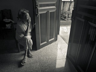 P8210534-1.jpg