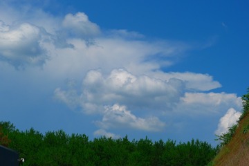 866CF354-1C21-451B-A53B-651575305809/L0/001