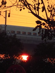 53913