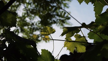 991F671E-7381-4C65-8EFF-E763B21A6677/L0/001