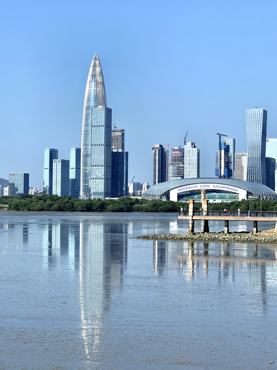 大美深圳湾 - 深石 - 图虫