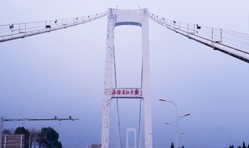 2906945