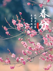 5368D6FD-3E59-4013-8748-DE121481E95F/L0/001