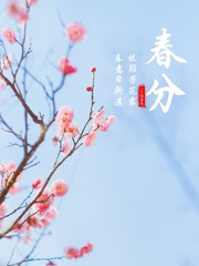 B4ED19E0-4373-4E1C-A800-5E5F1F777A41/L0/001