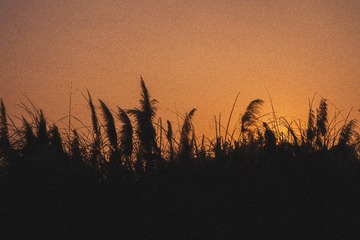 5E7E6973-317F-47D4-A9A1-9A6CB914009B/L0/001