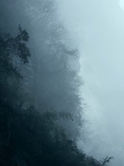 77277