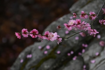 75845