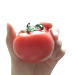 F4418503-DF13-4EDD-BF27-BDF464AF8298/L0/001