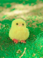 724334