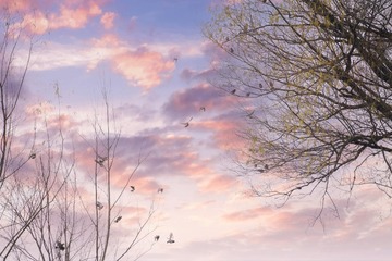F3C5397B-C86C-439D-AA0D-7A703AA77894/L0/001