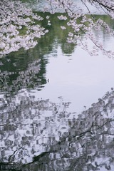 72EB13DF-4819-4203-BF7D-7E145130A130/L0/001