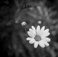 _DSC5934