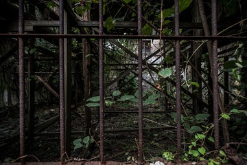 _DSC3048