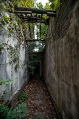 _DSC3054