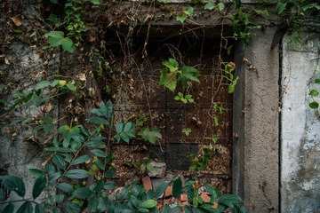 _DSC3082