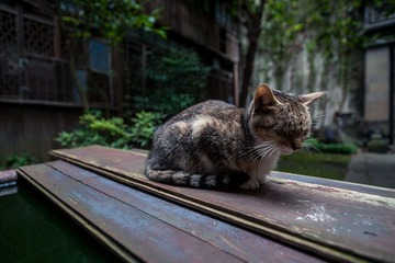 _DSC3130