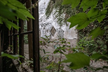 _DSC3331