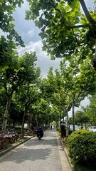 BD98C131-F268-414E-A3B9-B964DC247A74/L0/001
