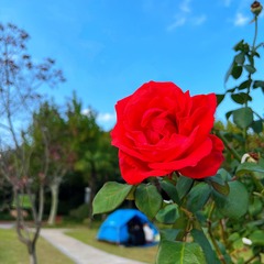 10915768-54F3-446A-B17E-040E4852D0EE/L0/001