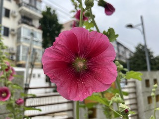 2F3AA87A-266C-4087-B07F-78E309960895/L0/001