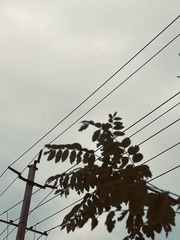 1A1EE725-3E8C-42DF-9A60-1388E68553F5/L0/001