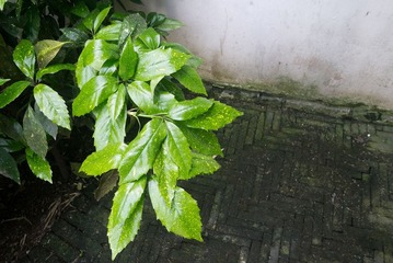 P1000868.jpg