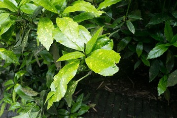 P1000869.jpg