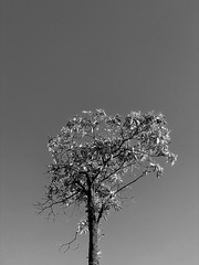 DFC0685E-EF41-46FA-A9CA-33E2FA3D30F4/L0/001