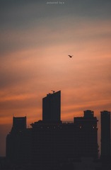 3058897